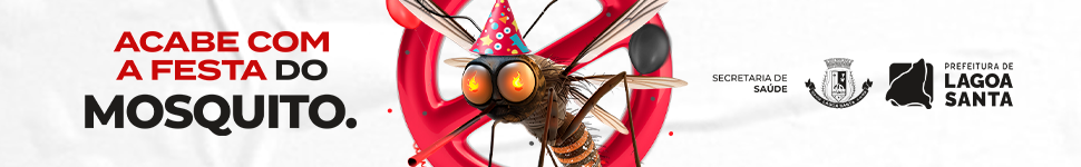 COMBATE A DENGUE