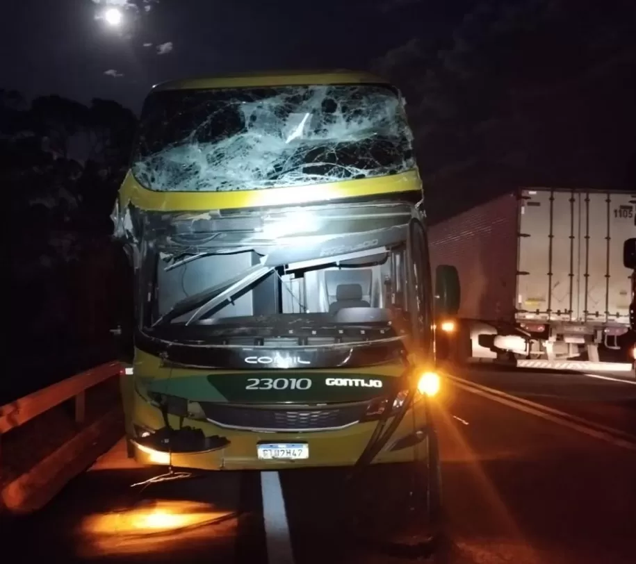 Árvore cai sobre caminhão e ônibus na BR-262 e deixa dois feridos em Minas Gerais