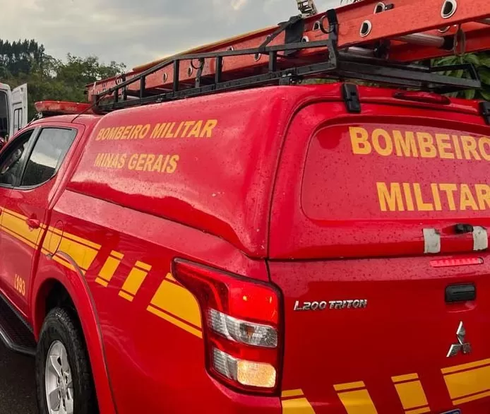 Bombeiros resgatam gato preso em árvore de oito metros em Pedro Leopoldo