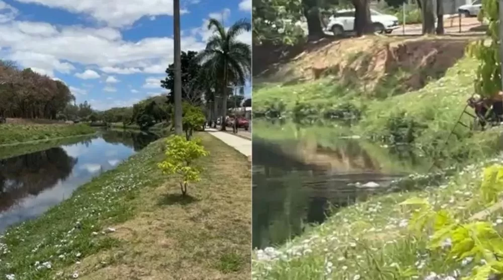 Dois idosos são encontrados mortos na Lagoa da Pampulha, em Belo Horizonte