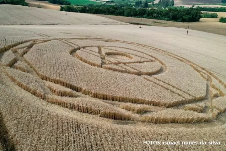 Primeiro agroglifo de 2025 surge em SC e atrai curiosos ao interior do estado