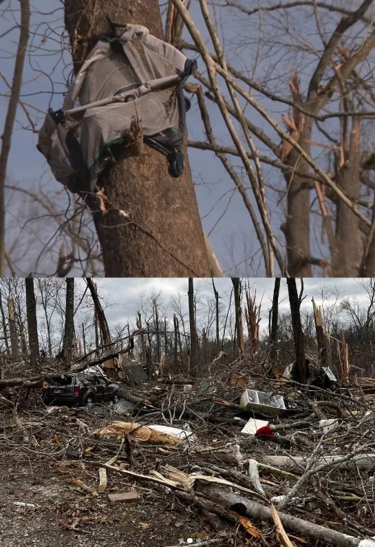 Bebê levado por tornado é encontrado vivo em árvore nos EUA