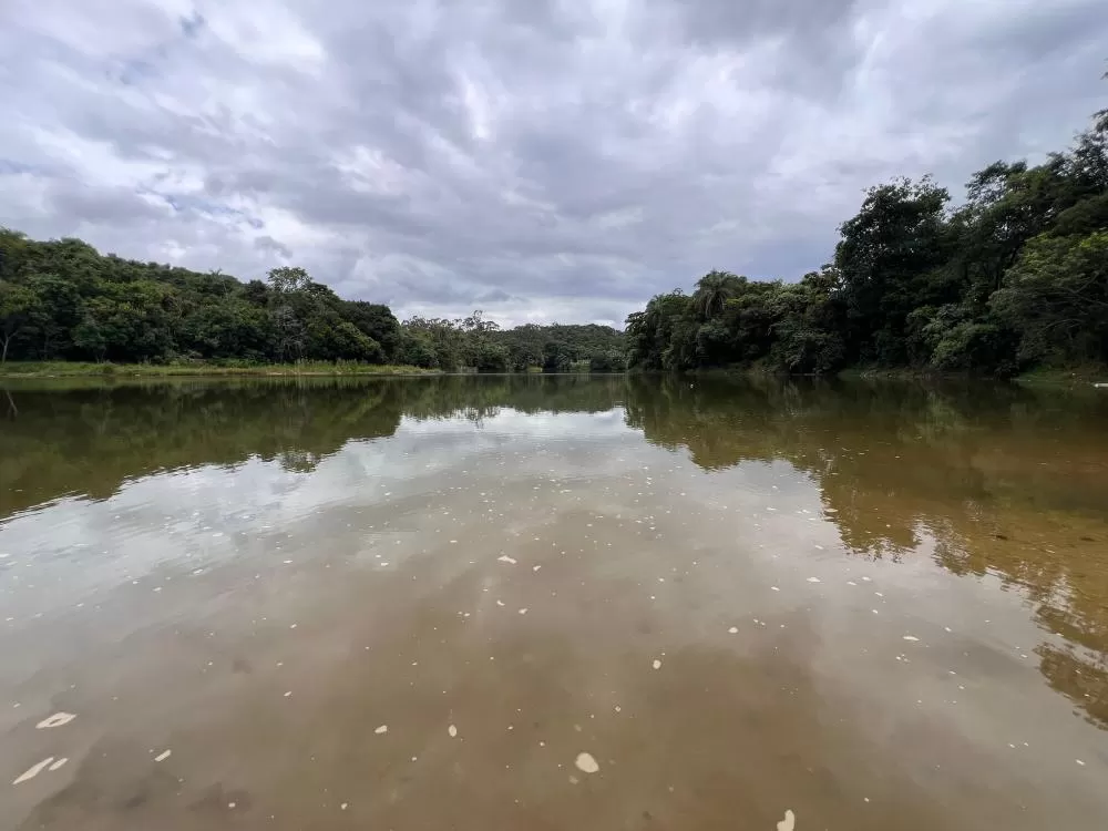 Imagem: Natanael Jonathas/Impactto News