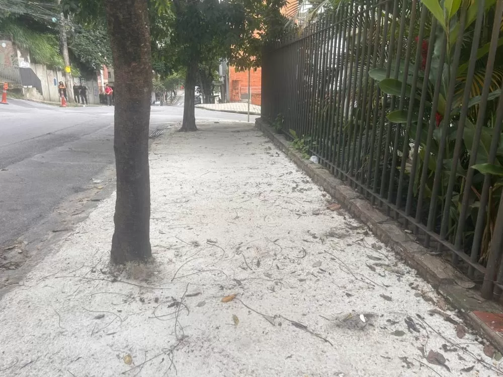 Imagem: Cedida ao Impactto News