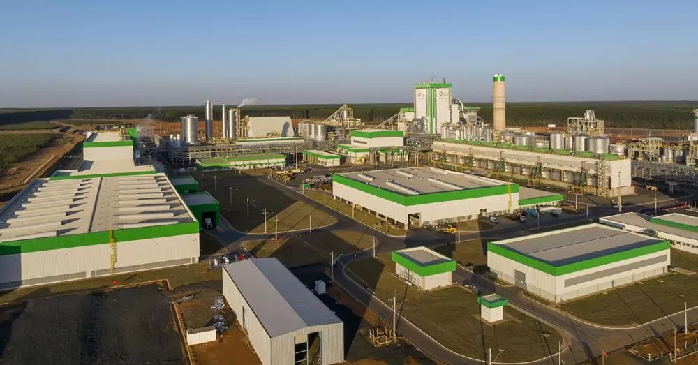 Indústria de papel e celulose apresentou crescimento de mais de 10% em Minas em 2025