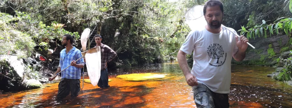 Pesquisas em parques estaduais impulsionam conservação da biodiversidade em MG
