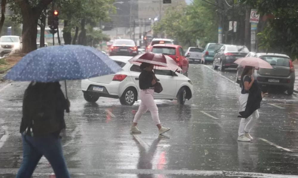 Chuva forte atinge regiões de Belo Horizonte e Defesa Civil mantém alerta até domingo
