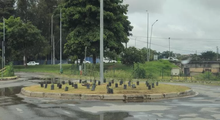 Imagem: Livia Ansaloni