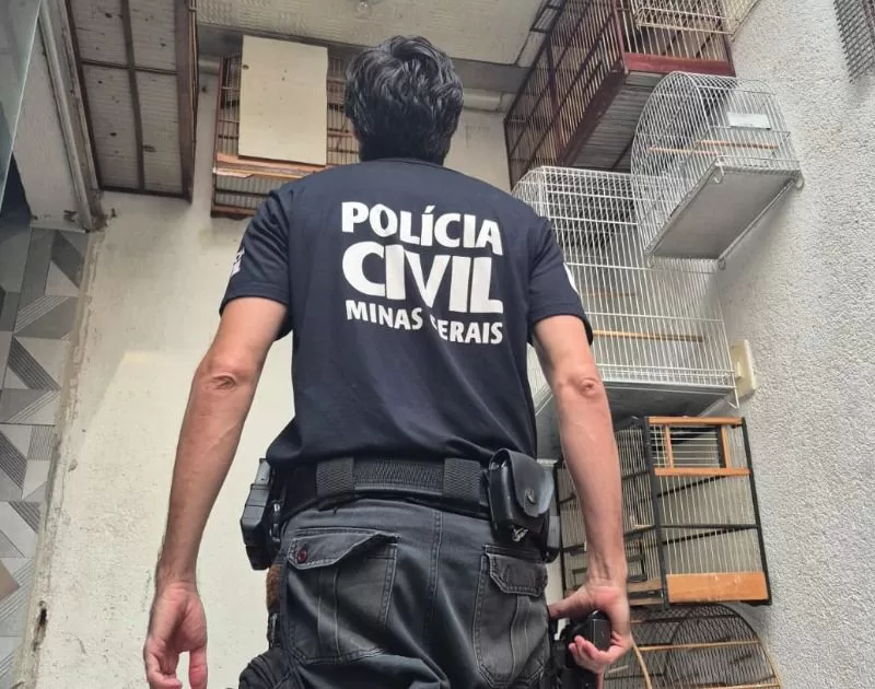 Operação “Aves Livres”: Polícia Civil apreende 23 aves silvestres mantidas ilegalmente em BH