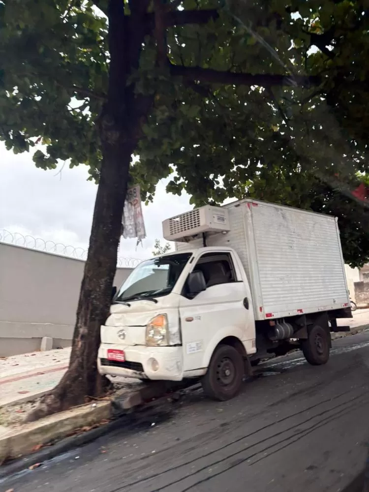 Imagens cedidas à Impactto News