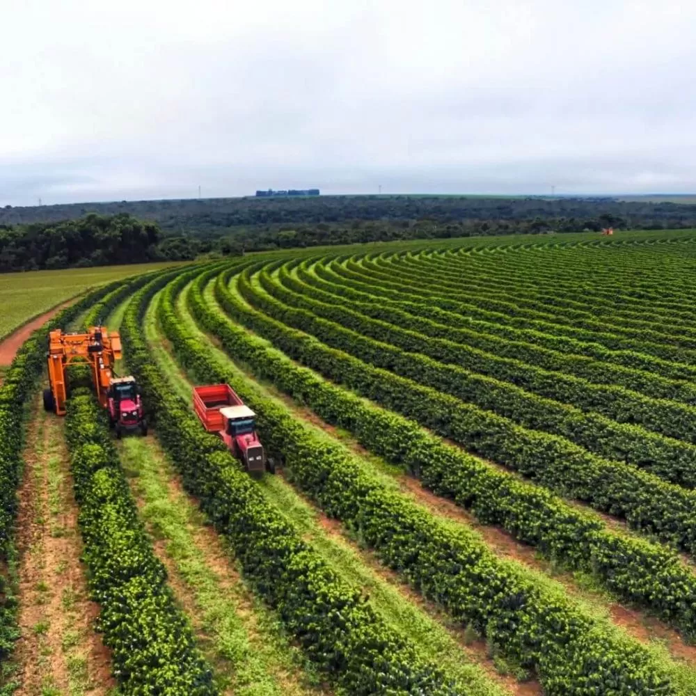 PIB de Minas bate recorde e ultrapassa R$ 1,1 trilhão em 2025