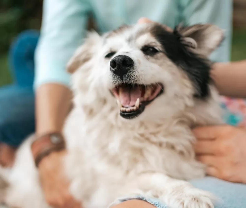 Imagem: Reprodução I Banco de Imagens
