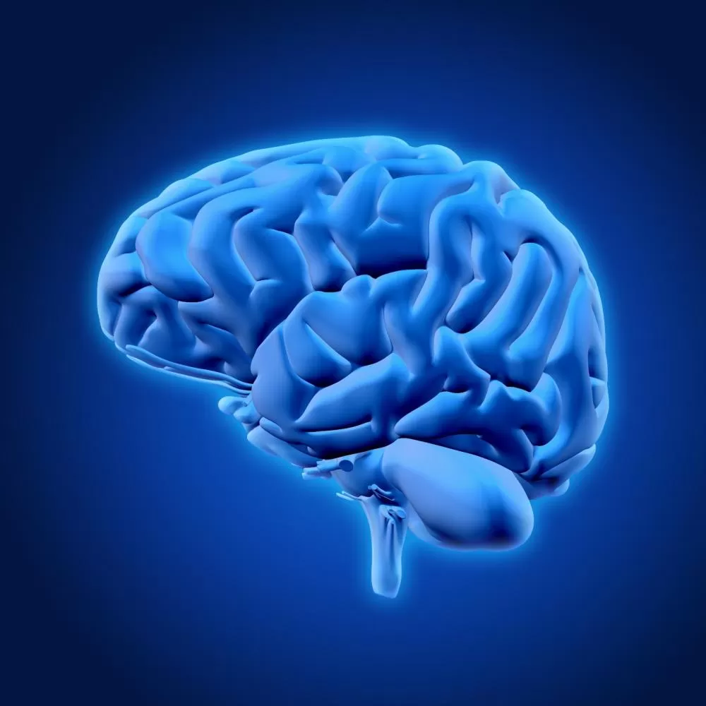 Divulgação / Flickr