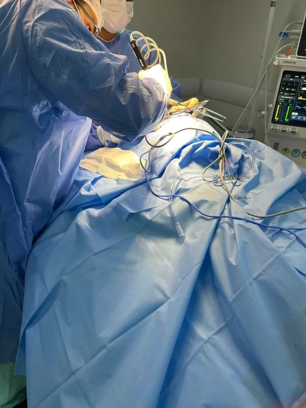 Foto: Aline Malta/PMC