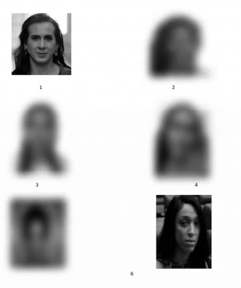 Deputadas Duda Salabert e Erika Hilton aparecem em álbum policial de suspeitas e caso gera reação