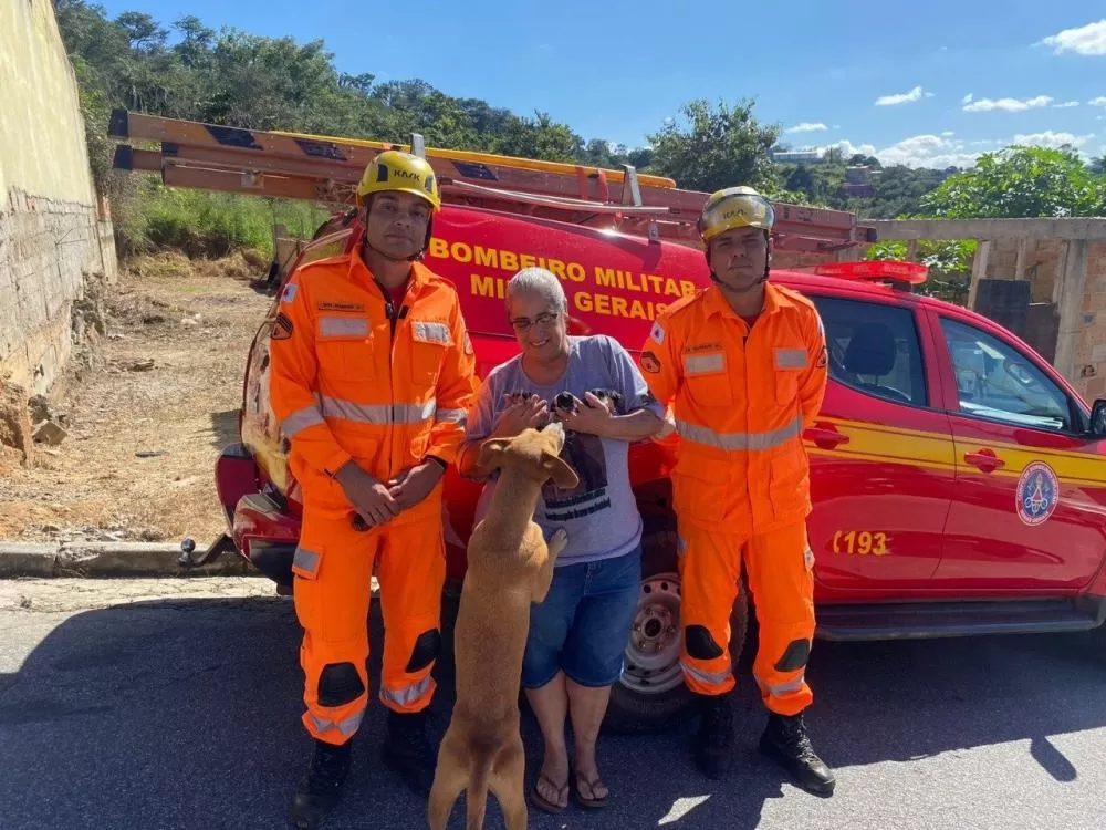 Cadela e três filhotes são resgatados de buraco em área de difícil acesso em Betim
