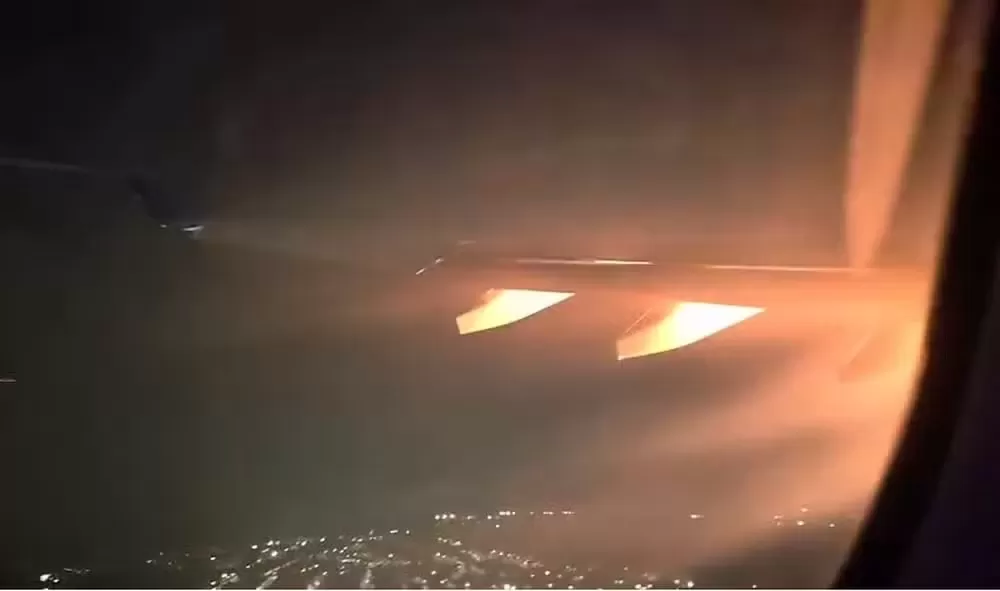 Imagem: Reprodução