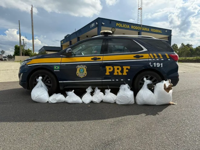 Mais de 100 kg de cocaína são apreendidos em rodovia de MG após acidente