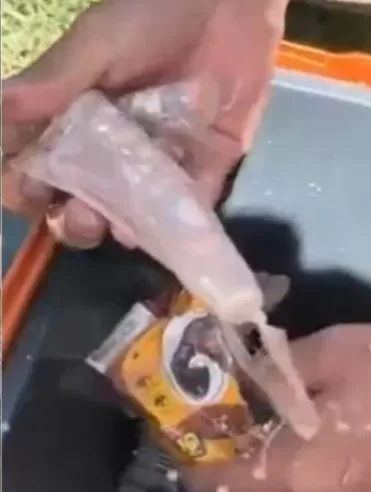 Reprodução Polícia Militar Rodoviária