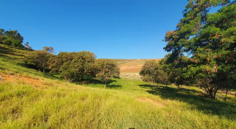 Prefeitura abre consulta para definir o novo parque urbano no bairro Califórnia