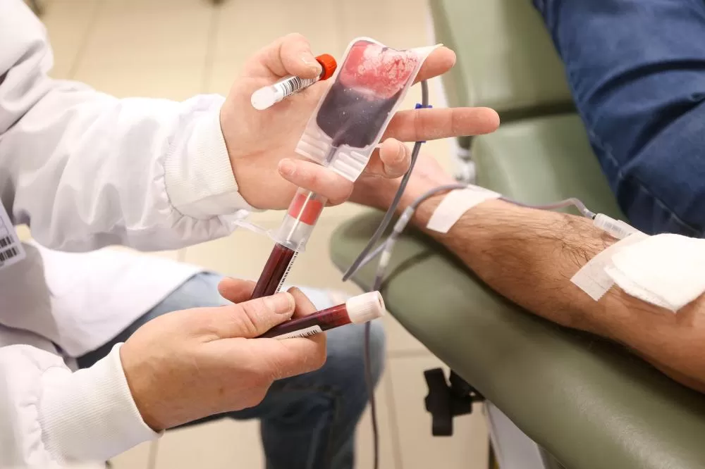 Saiba quando é possível doar sangue após se vacinar contra a gripe