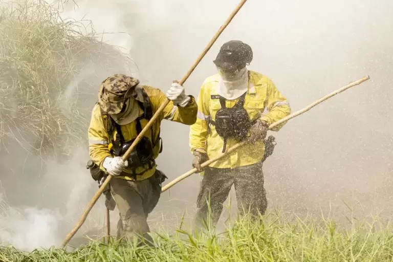 Governo autoriza contratação de brigadas federais para prevenção e combate a incêndios florestais em todo o país