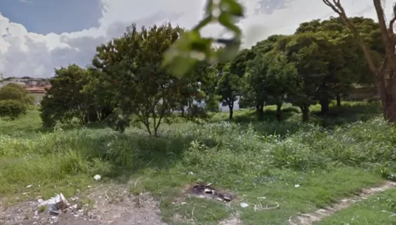 Google Street View