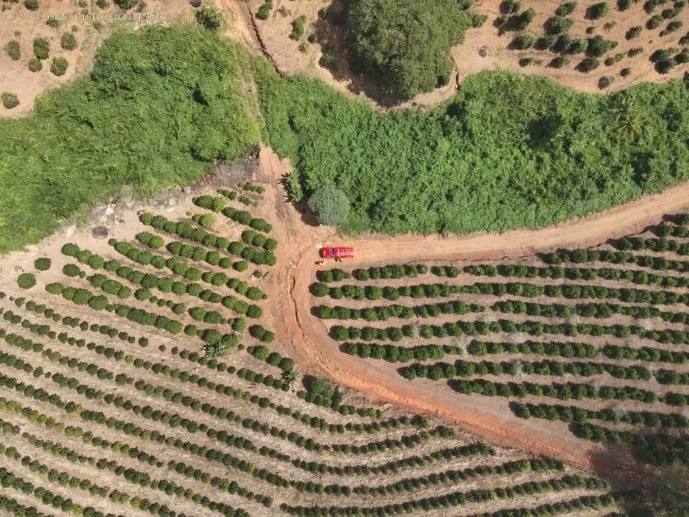 Corpo de farmacêutica desaparecida é localizado no Sul de Minas