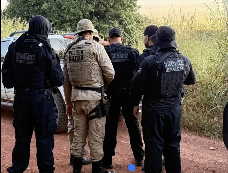 Operação destrói plantação ilegal de drogas no interior da Bahia