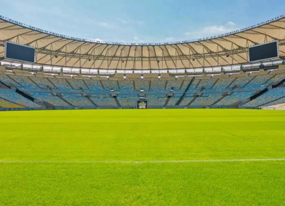 Nova lei garante entrada gratuita em estádios para pessoas com autismo em situações específicas