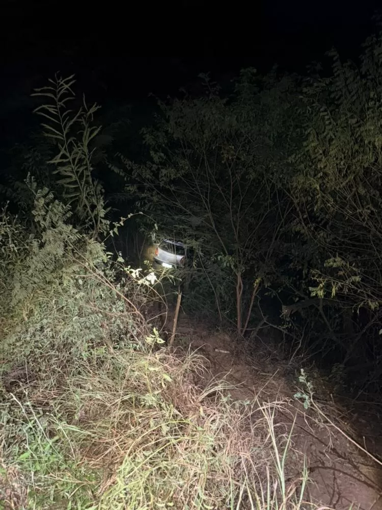Carro despenca em ribanceira após bater em animal na rodovia MGC-342