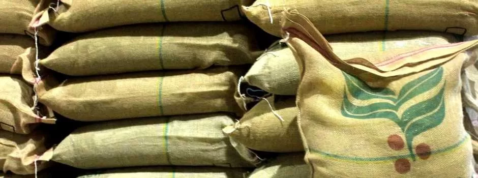 Café mineiro com certificação ambiental abre mercado na Europa