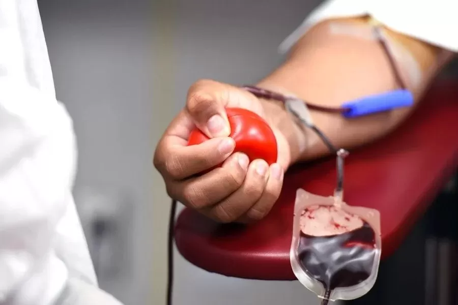 Câmara de Divinópolis aprova projeto que converte multa de trânsito em doação de sangue e medula