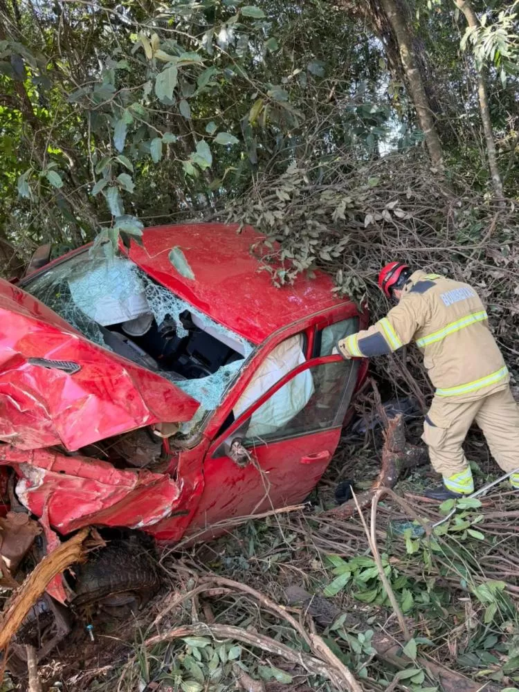 Motorista perde controle de caminhonete, despenca em ribanceira e sobrevive sem ferimentos graves na MG-223