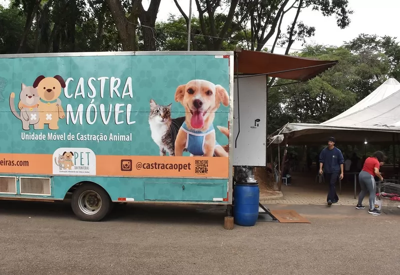 Mutirão de castração atende mais de 300 animais em Contagem nesta semana