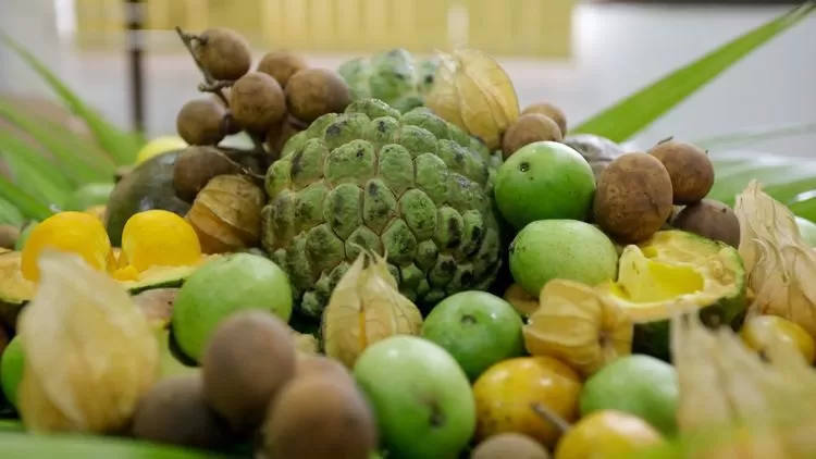 Edital de R$ 50 milhões vai apoiar cooperativas da agricultura familiar no Cerrado