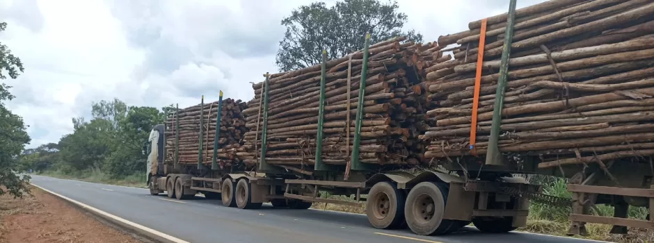 📷 Agência Minas