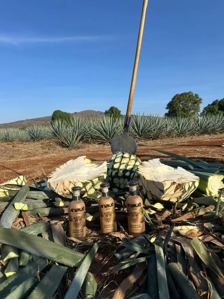 ANAUÊ apresenta licor premium de tequila e doce de leite em feira internacional no México