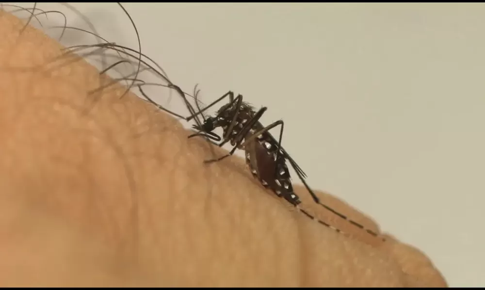 Minas amplia uso de drones no combate ao Aedes aegypti e mapeia quase 500 mil hectares