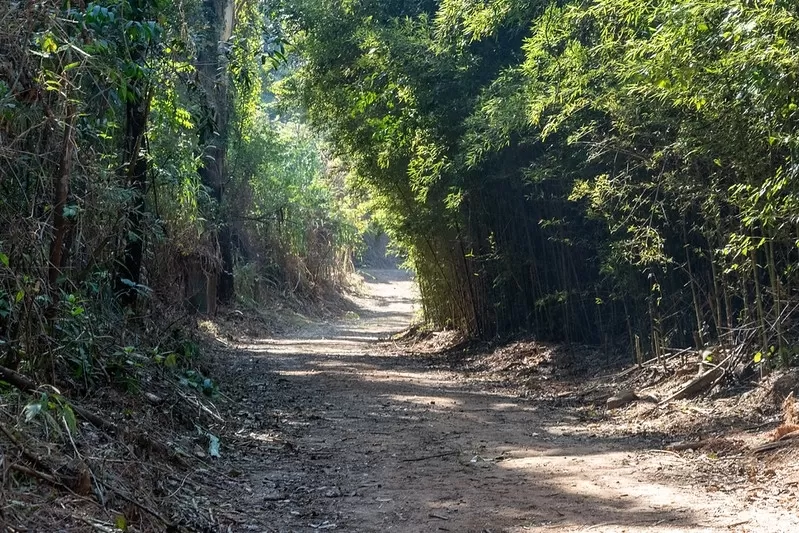 Contagem abre inscrições para 1ª Corrida do Meio Ambiente gratuita na próxima segunda-feira