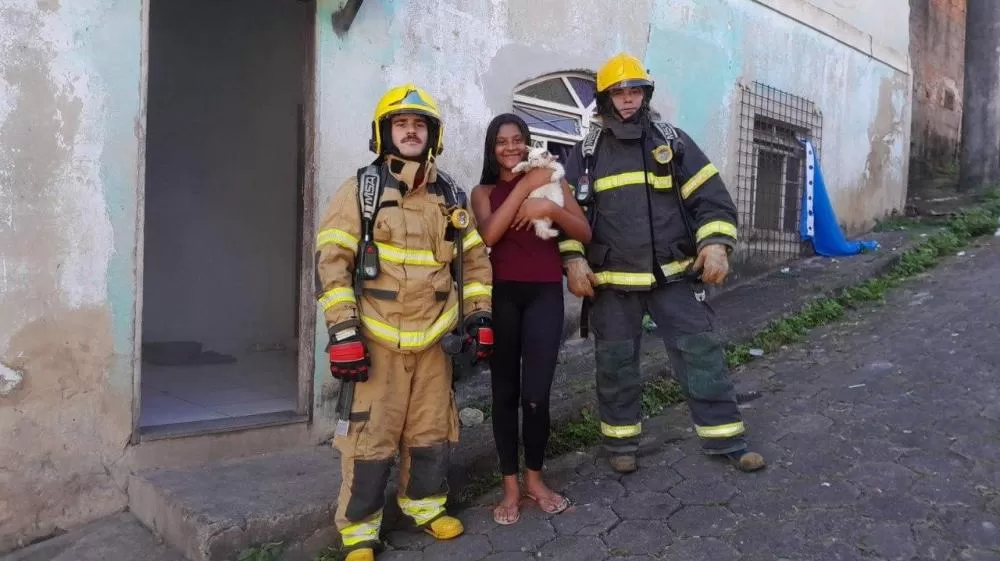 Bombeiros resgatam gato durante princípio de incêndio em residência de Itabira