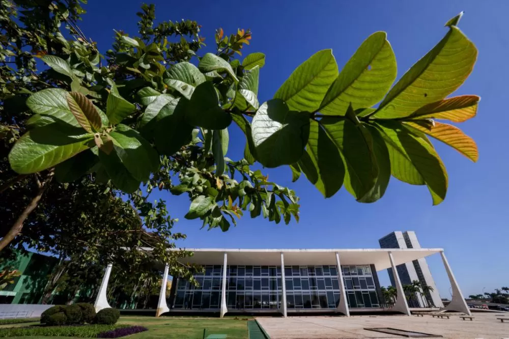 STF derruba obrigação de seguradoras investirem em créditos de carbono