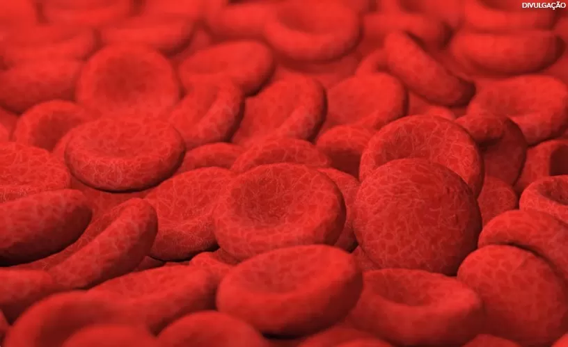 Anvisa aprova novo medicamento para tratamento de tipo raro de câncer no sangue