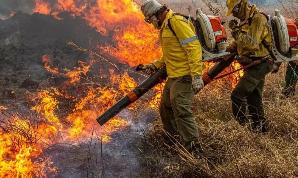 Governo libera R$ 337,5 milhões para combate a incêndios florestais e fiscalização ambiental