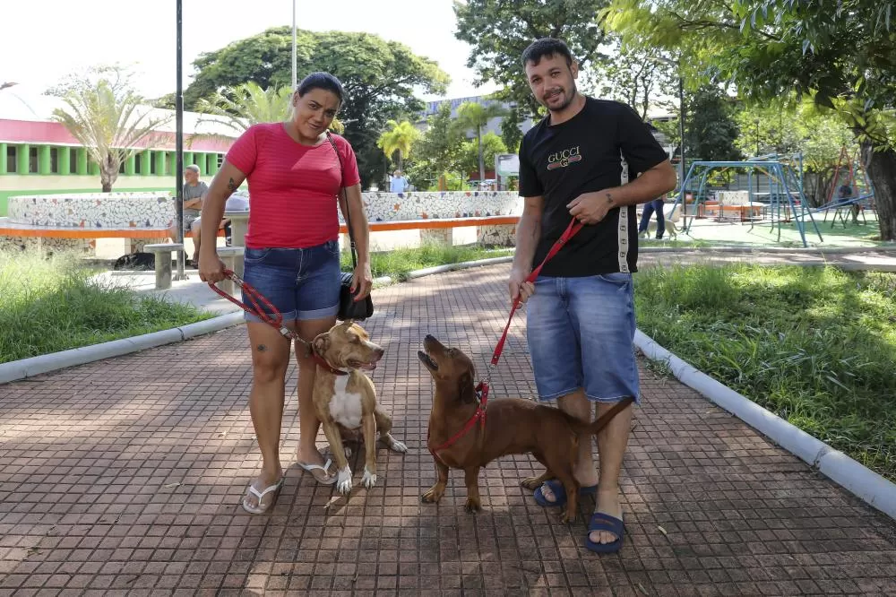 Inscrições abertas para mega mutirão de castração de cães e gatos em Contagem