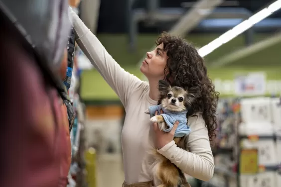 Pets podem ser liberados em supermercados de BH; projeto será votado nesta terça (16)
