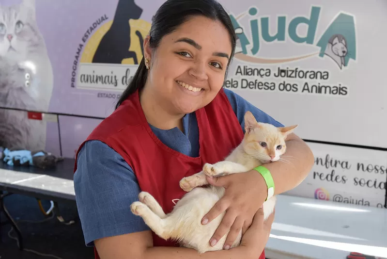 Contagem realiza 1.300 castrações de cães e gatos em um único dia e estabelece recorde