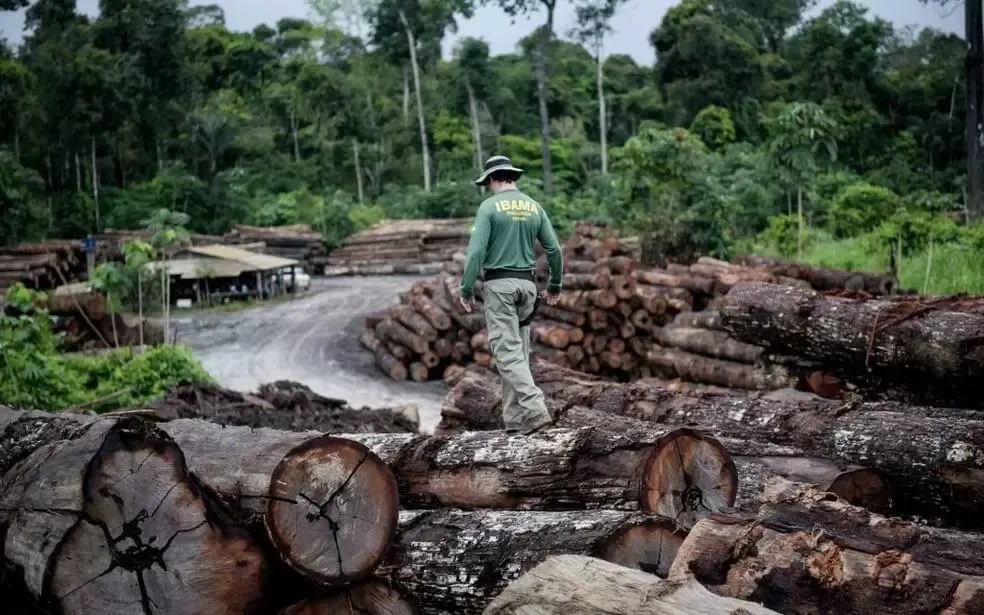 Câmara aprova urgência para projeto que altera a Lei de Crimes Ambientais