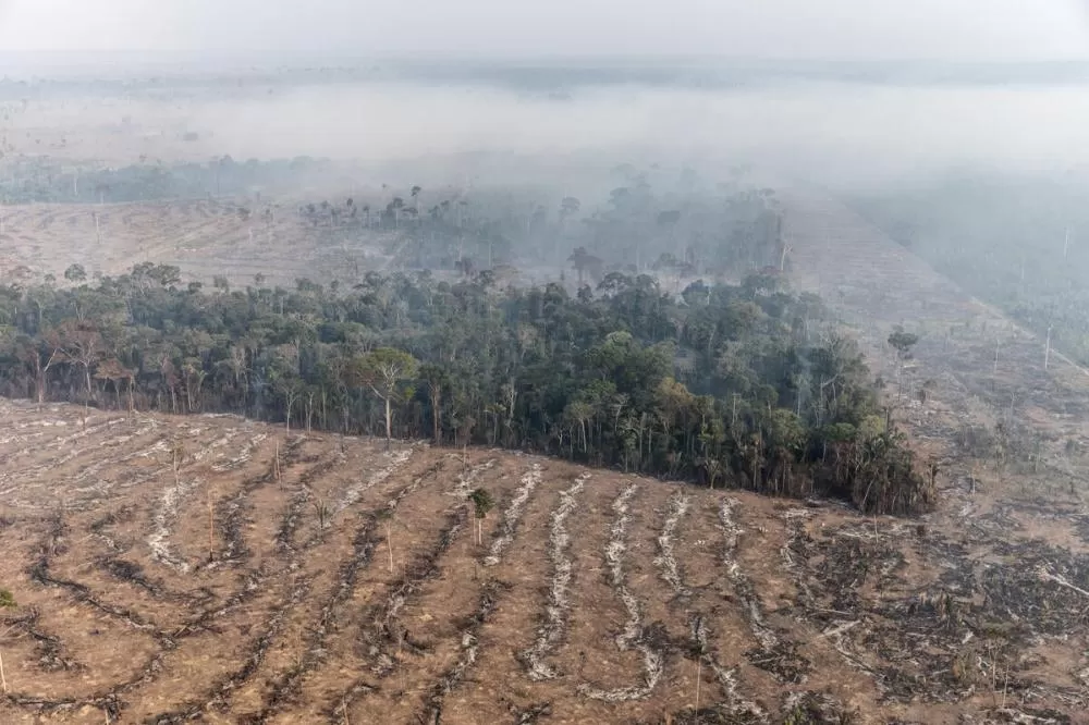 Desmatamento na Amazônia cai 35% e no Cerrado recua 5,3% em junho