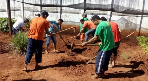 Comissão da Câmara de BH rejeita projeto que autorizava uso de mão de obra de presos em serviços urbanos
